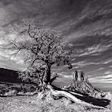 Monument Valley Number 2 by Flavio Mini -  