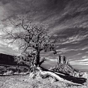 Monument Valley Number 2 by Flavio Mini - Black & White Landscapes