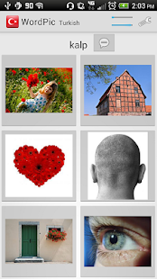 Learn Turkish Free WordPower - Google Play Android 應用 ...