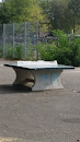 Scorched Table De Ping Pong