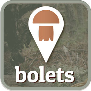 Bolets «Mushrooms» 1.3