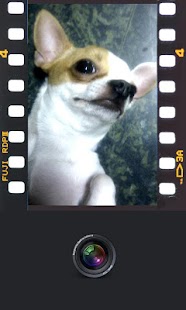 How to install Film Camera 1.0.0 apk for bluestacks