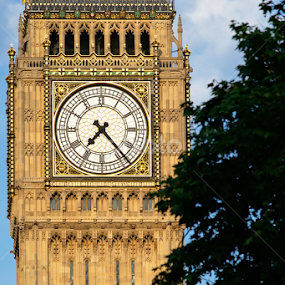 Palace of Westminster Clock Tower by Dunstan Vavasour - Buildings & Architecture Public & Historical