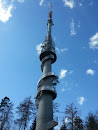 Brühlbergturm