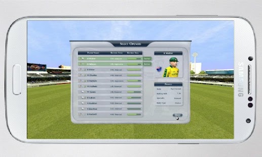 download Cricket World Cup Game free