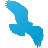 Little Bird Guide Europe