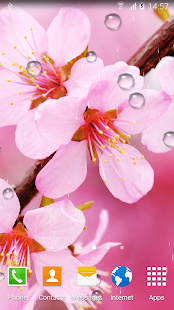 Free Download Cherry Blossom Live Wallpaper APK