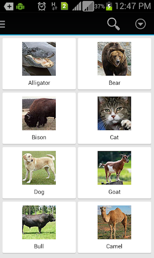 Animal Sound Photos for Kids