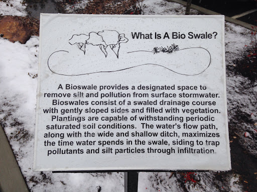 What Is A Bio Swale?