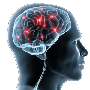 Peds Infectious Disease Review 2.3a