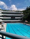CityU Swimming Pool