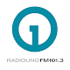 Radio Uno 101.3 APK