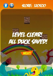 Duck Rescue poster 3