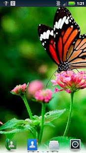 How to mod Butterflies Live Wallpaper 3.6.0.0 mod apk for pc