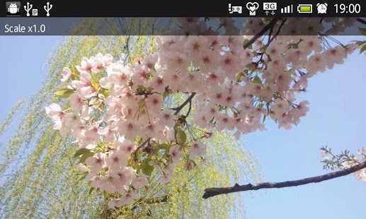 How to install Pixel Magnifier lastet apk for bluestacks