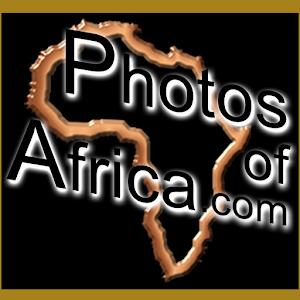 Wildlife Photo Safaris 0.2