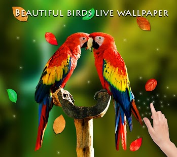 Birds 3D Live Wallpaper