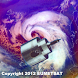 Weather satellite widget