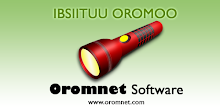 Flashlight - Ibsiituu Oromo APK