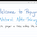 Papyrus Premium - Natural Note Taking v1.2.9.0-GP APK