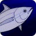 FishCalc logo