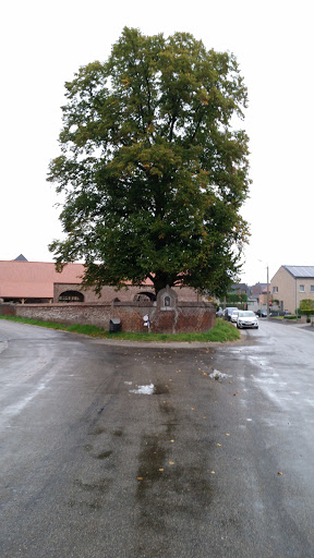 Tree And shrine In Attenhoven