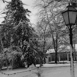 by Gordana Trošić-Kliska -  