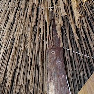 心之芳庭| 戶外婚禮| 商務會議| 景觀餐廳