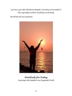 Gratitude For Today Screenshots 3