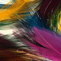 Cool Pattern Background i logo