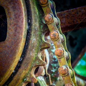 Chain Driven by Robert Willson - Artistic Objects Industrial Objects