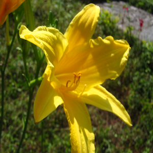 Puvi Environment News in Tamil.apk 1.2