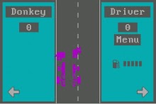 Donkey Racing