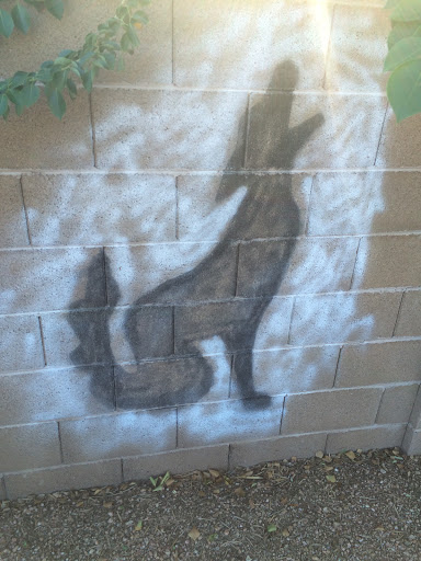 Coyote On The Wall