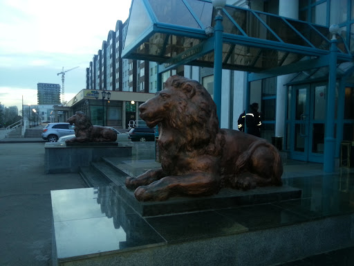 Lions on Abay Ave