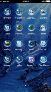 Dolphins Life C Launcher Theme Screenshots 1