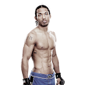 Benson Henderson widgets logo