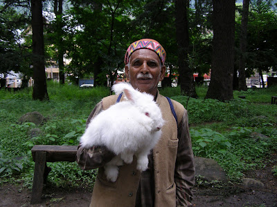 The Rabbit Man