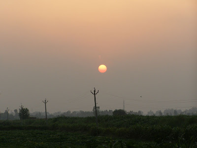 Sunset in the fields of Saha