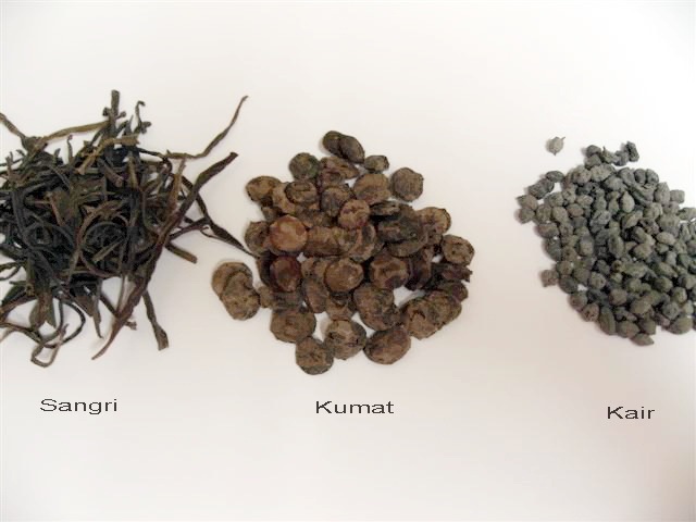 [IMG_1744 (Small)[14].jpg]