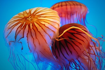 [DSC_0020.e1[2].jpg]