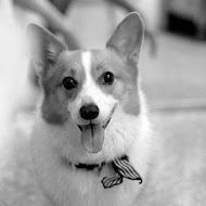 Come home 咖啡漫步