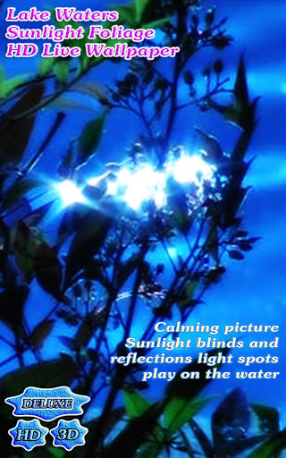 免費個人化App|Lake Waters Sunlight Foliage|阿達玩APP