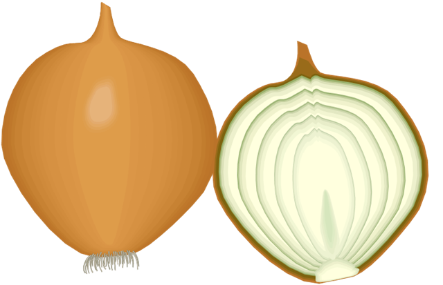 [onion[2].png]