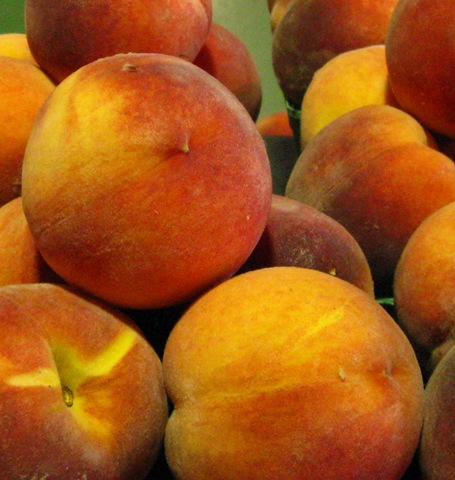 [peaches[3].jpg]