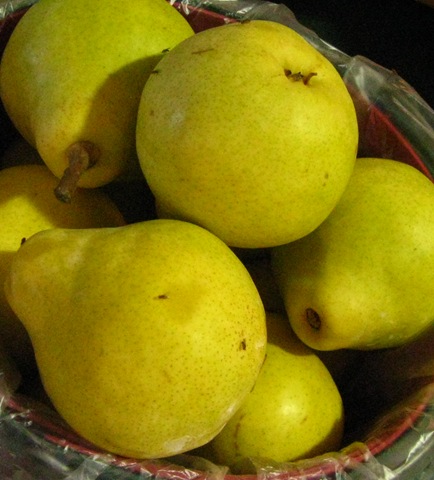[pears2[3].jpg]
