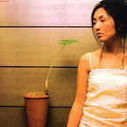 Beautiful japanese wallpaper