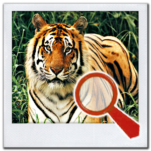 Find It 2™ (no ads).apk 6.1.2