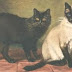 Siamese Cats History