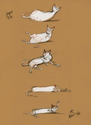 Siamese cat drawing